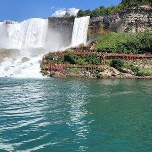 Meet your Posher, Anne